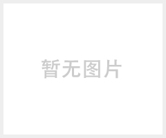 青岛诚鑫通仪表LUGB蒸汽流量计 空气流量计 涡街流量计